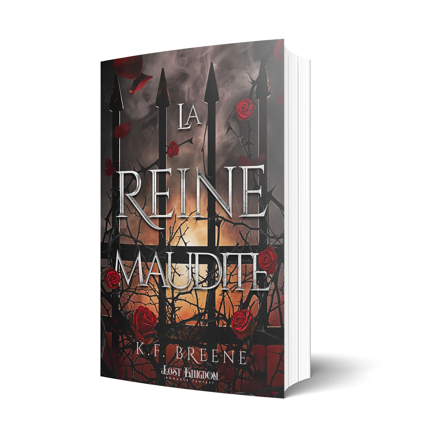 Image du produit 2