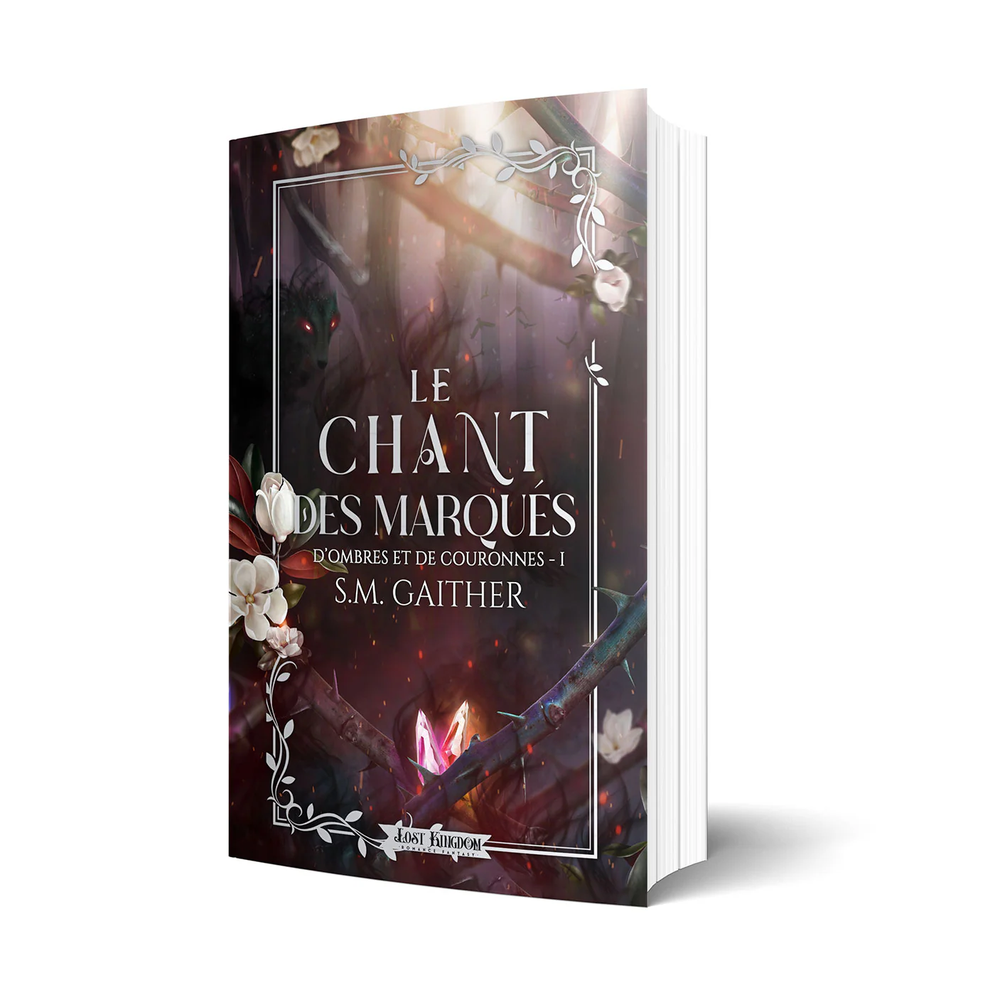 Image du produit 2